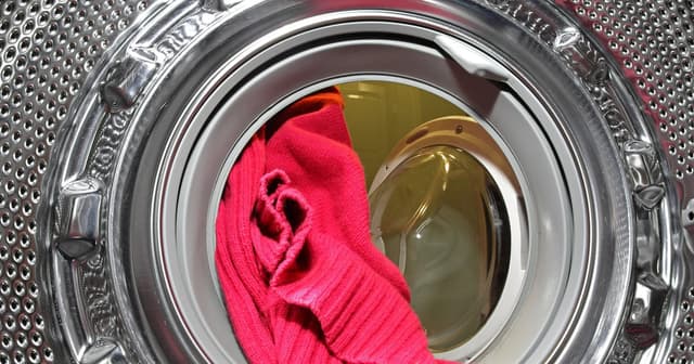 Plastic Fibers Infiltrate Global Food Chain, Contaminating Soil and Wildlife
