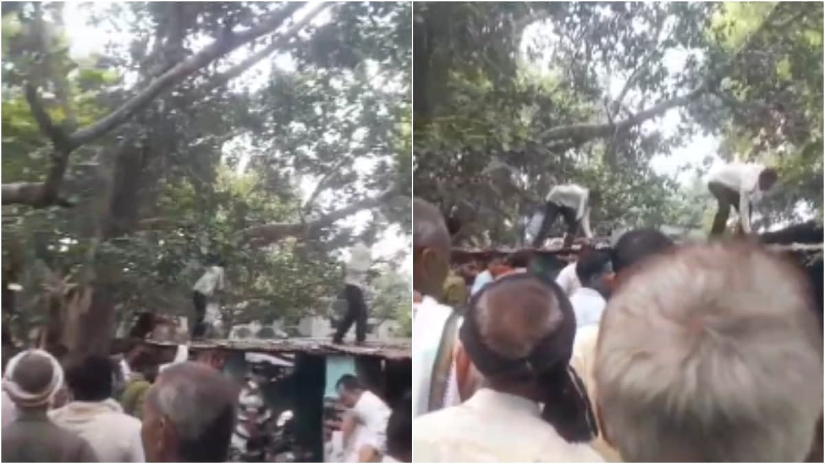 Monkey Rains $1,000 on Bystanders in Uttar Pradesh Village