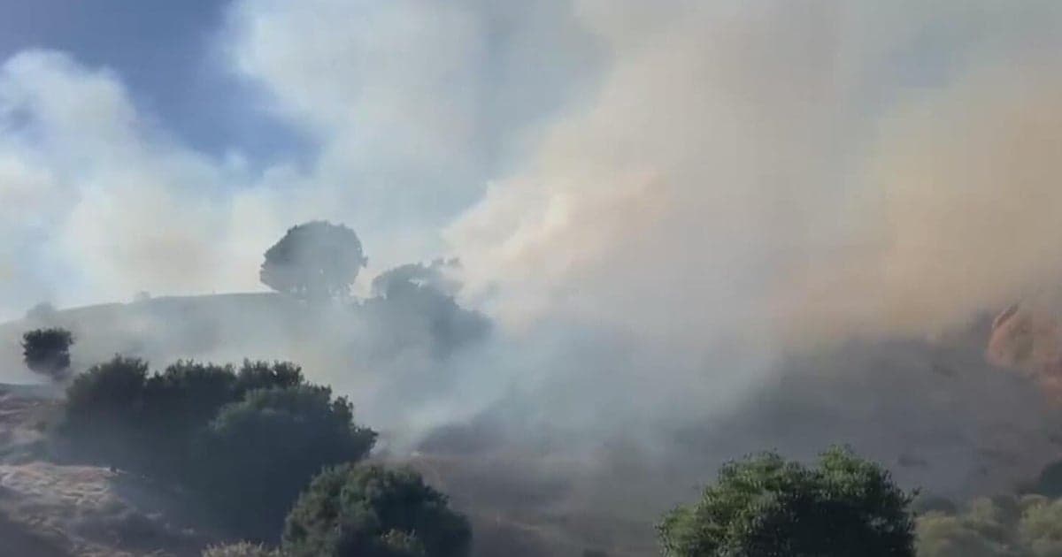 Firefighters Contain Grass Fire Sparked by Car Blaze on I-580