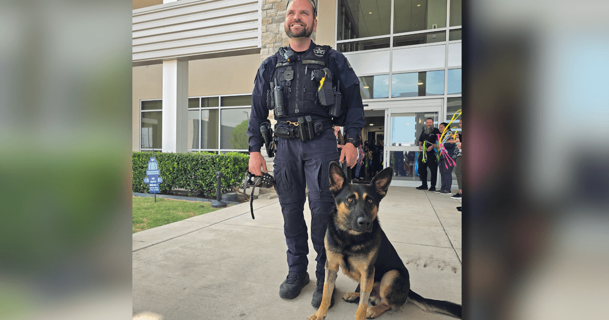 Dallas K-9 Officer Overcomes Heat Exhaustion, Receives Hero's Welcome
