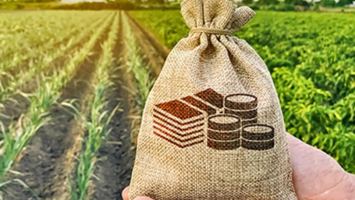 India Urged to Double Agricultural R&D Spending by 2047