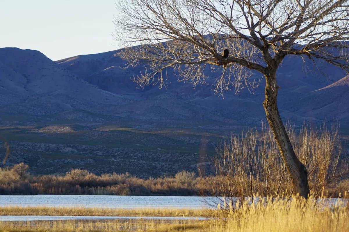 Albuquerque Empowers Open Space Staff to Enforce Bosque Wildlife Protections