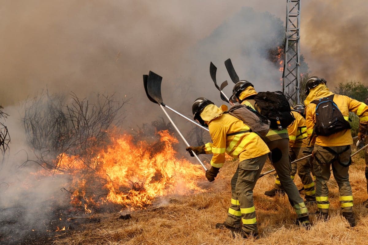 Spain Battles Worst Wildfire Season in Decades, Emissions Soar