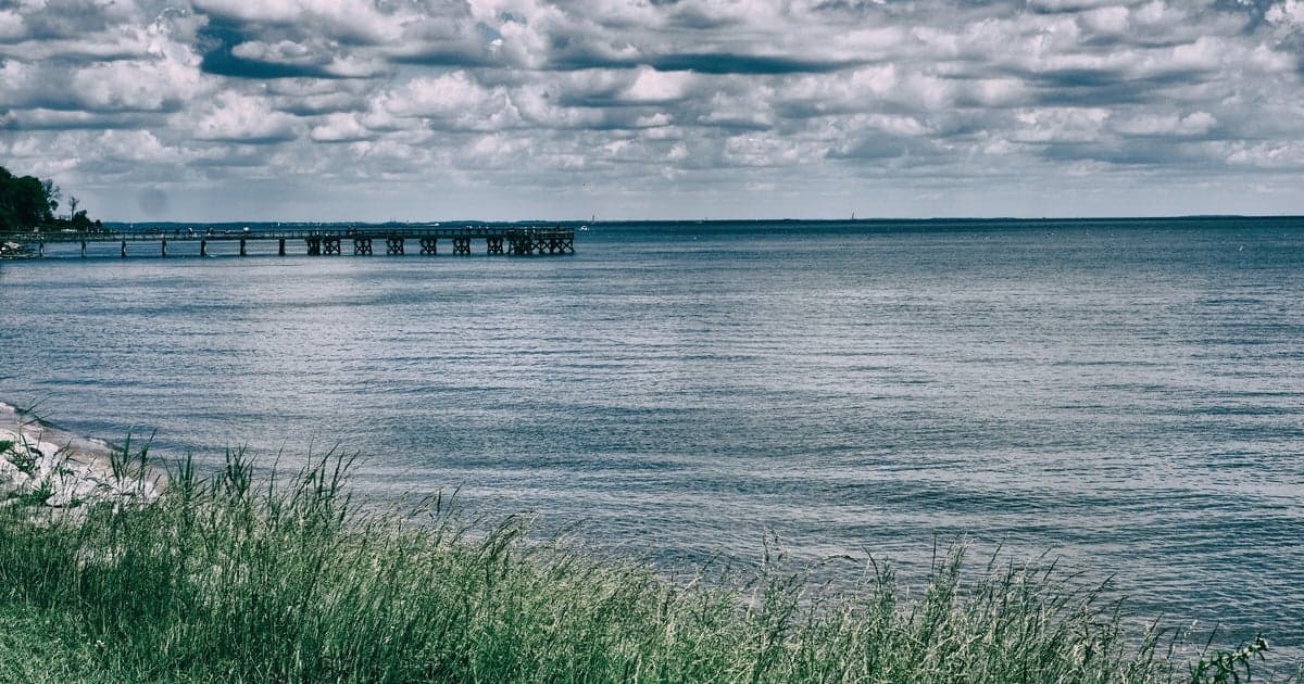 Chesapeake Bay Pollution Drops, but Water Quality Lags Behind