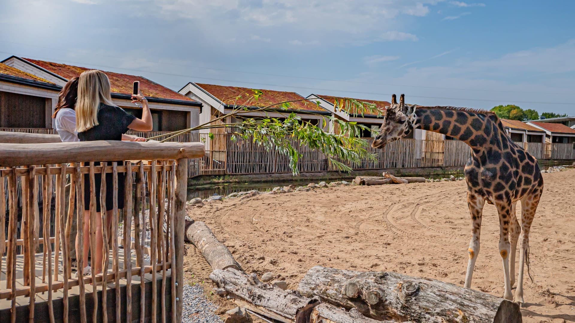 Luxury Safari Lodges Bring African Wildlife to Cheshire Countryside