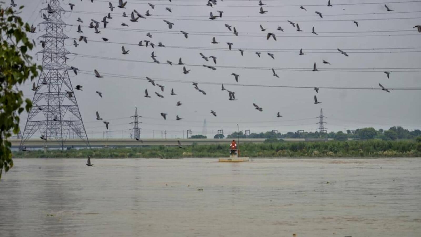 Delhi on High Alert as Yamuna Breaches Danger Mark, Discharge Reaches Record Highs