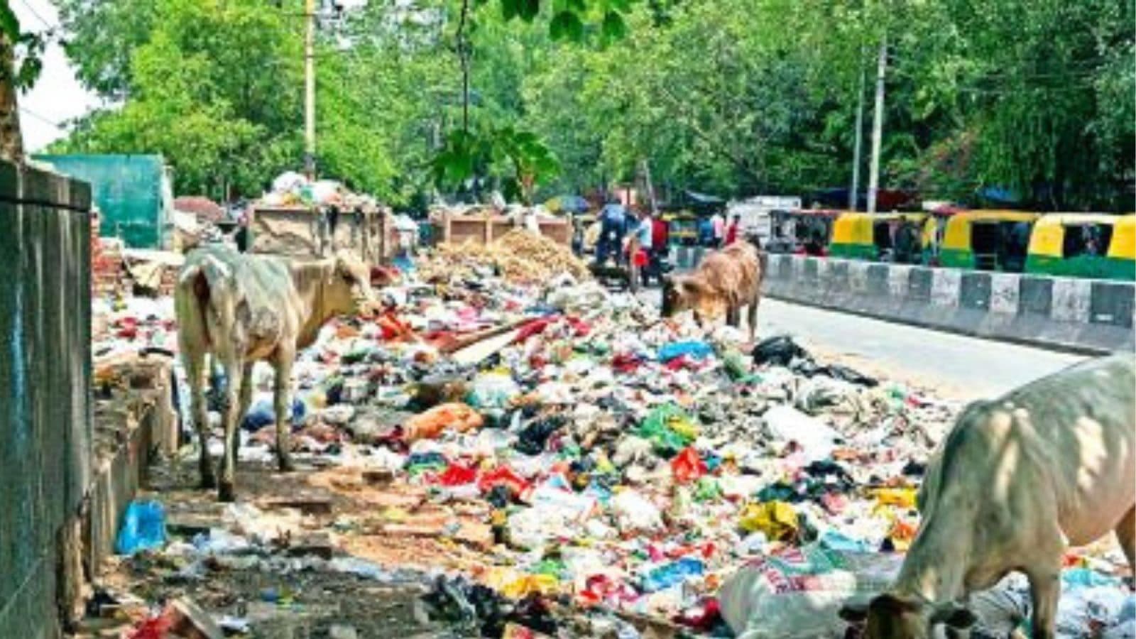 Delhi's 'Freedom from Garbage' Campaign Collects 12,000 Tons of Waste