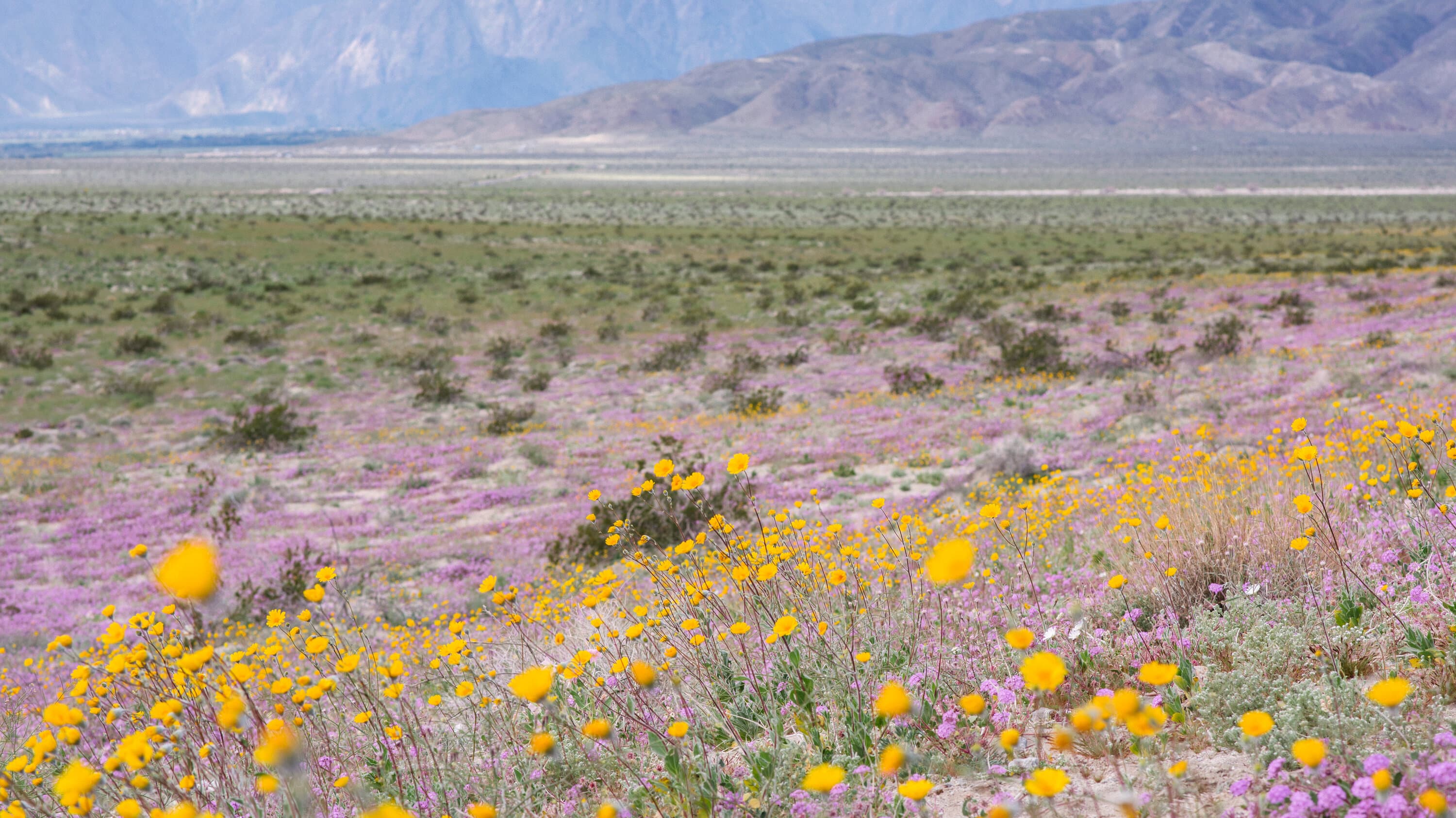 7 Stunning State Parks to Rival National Park Crowds in 2025