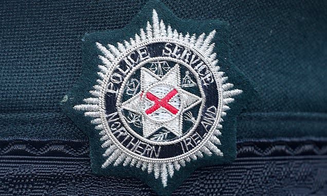 Police Shoot "Highly Aggressive" Cow to Protect Public on Dual Carriageway