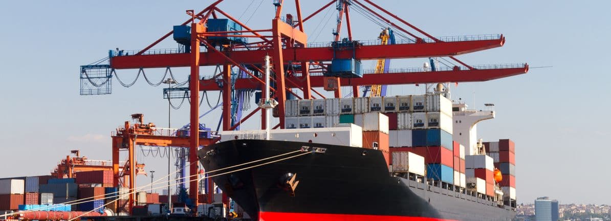 Matson's Volatile Ride: Bargain or Bust?