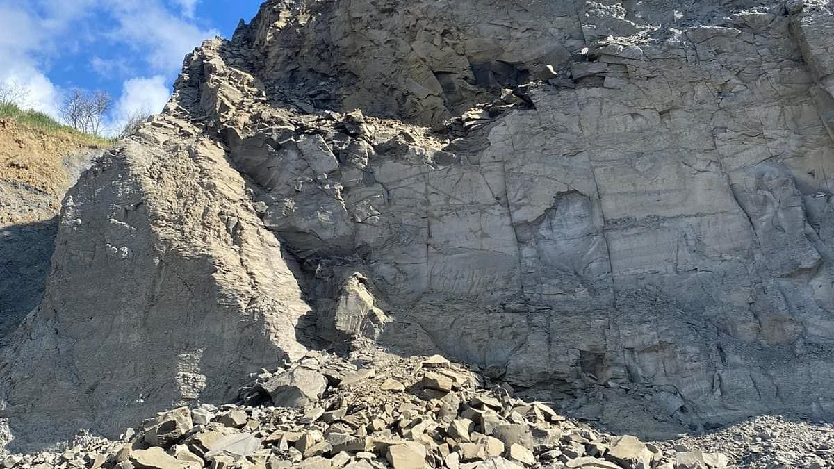 Jurassic Coast Rocked by 10,000-Ton Cliff Collapse