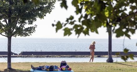 Toronto Grapples with Wildfire Smoke and Scorching Heat