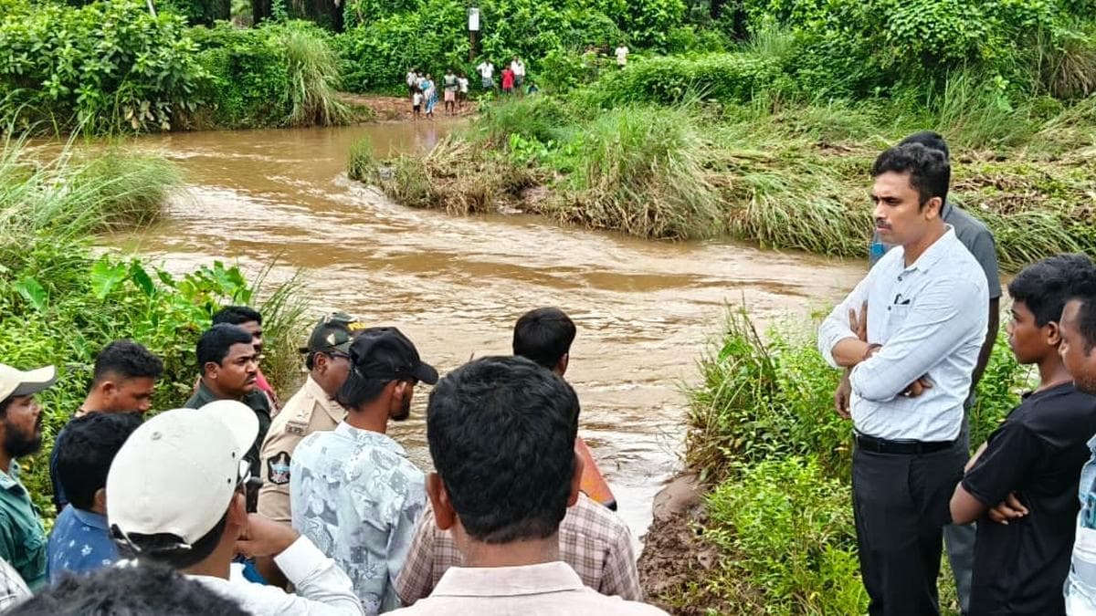 Collector Vows Flood Relief as Crops Suffer Damage in Parvatipuram-Manyam