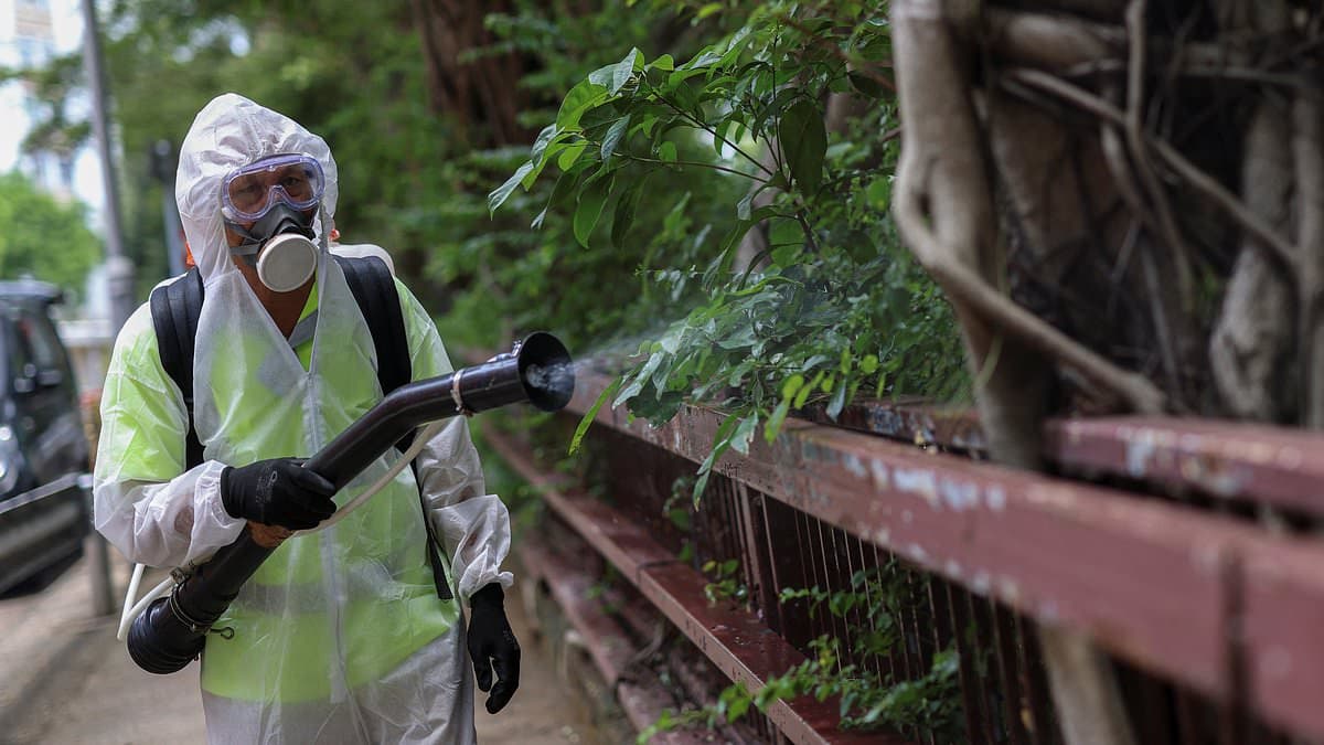 Chikungunya Outbreak in China Raises Concerns, but Doctor Downplays Global Threat