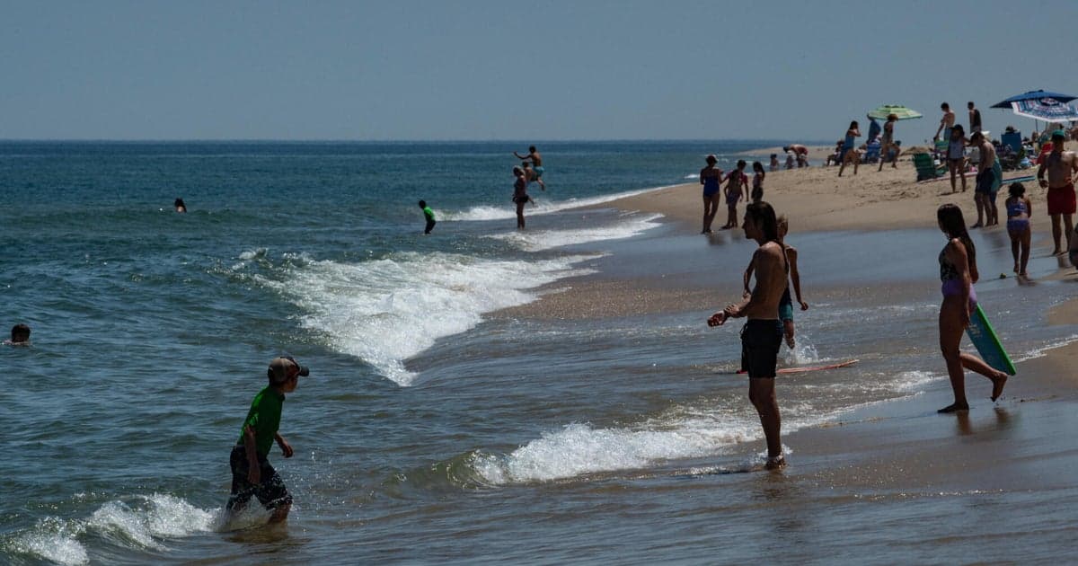 Warming Oceans Drive Unusual Marine Life to Massachusetts Coast