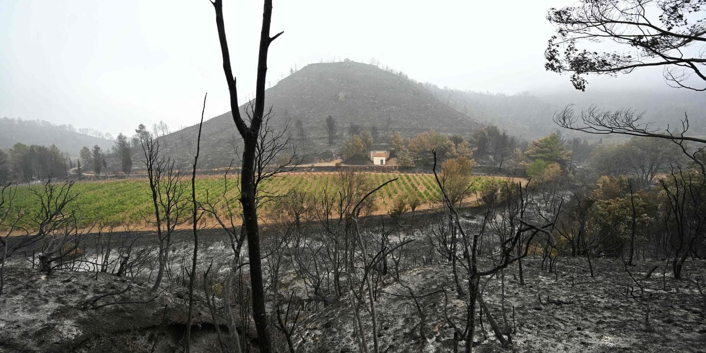 Deadly Wildfire Sweeps Through French Coast, Highlighting Climate Change Risks