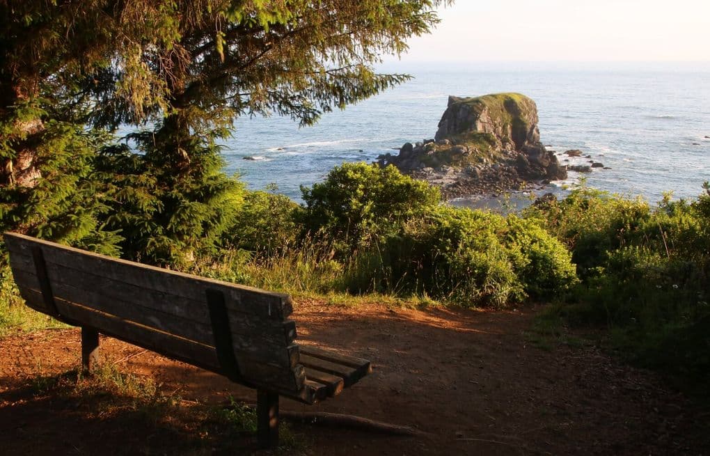 Discover Oregon's Hidden Gem: Harris Beach State Park Shines Bright
