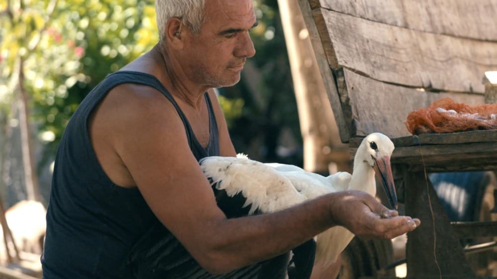 "Honeyland" Director's New Film "The Tale of Silyan" Premieres at Venice and Toronto