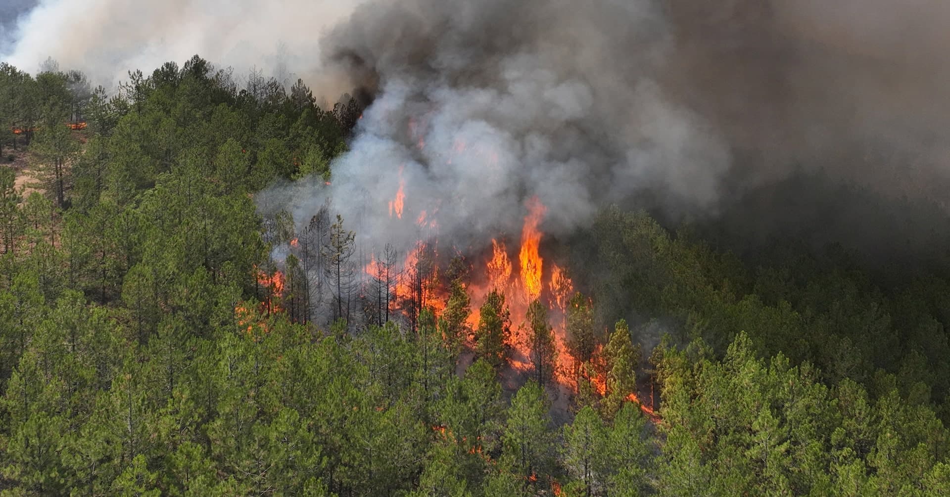 Extreme Weather Chaos: Raging Fires and Devastating Floods Grip the Globe