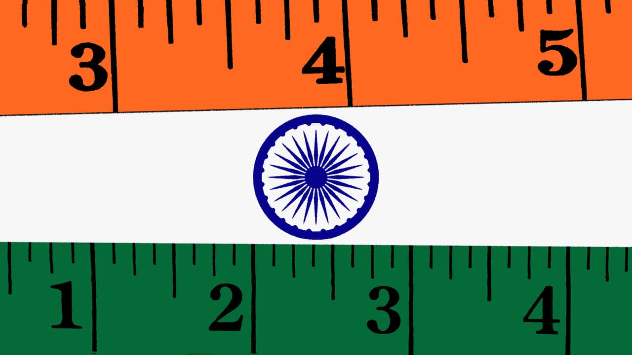 Indian Generics Aim to Slim Down Global Weight-Loss Drug Prices