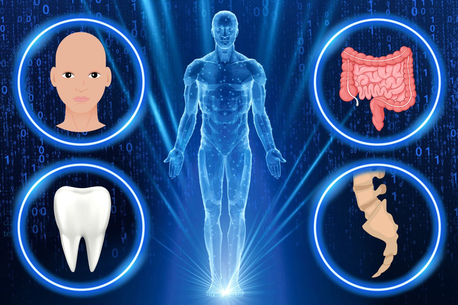 Humans Evolving to Lose Body Parts, Warn Scientists