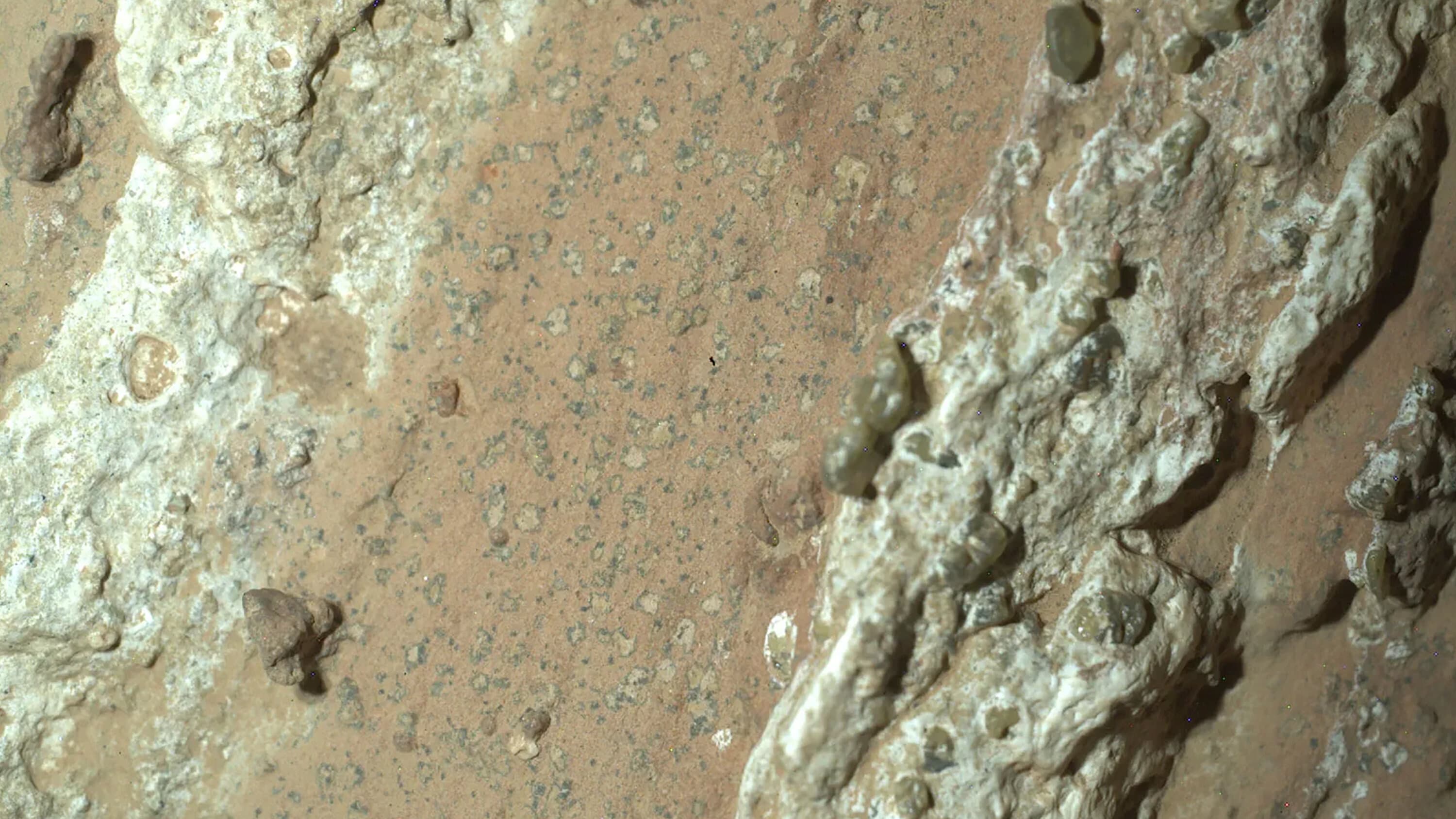 Perseverance Rover Uncovers Potential Signs of Ancient Martian Life
