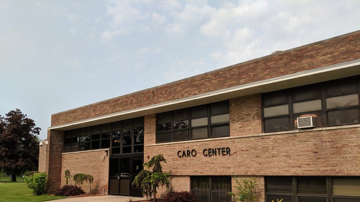 Traverse City Stabbings Expose Michigan's Mental Health Crisis