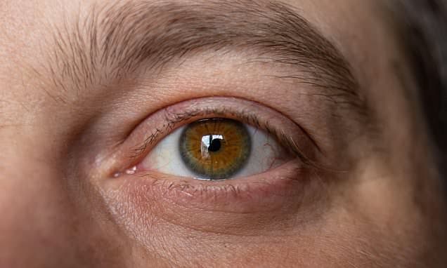 Sight-Saving Treatment Now Available on NHS for Rare Genetic Disease