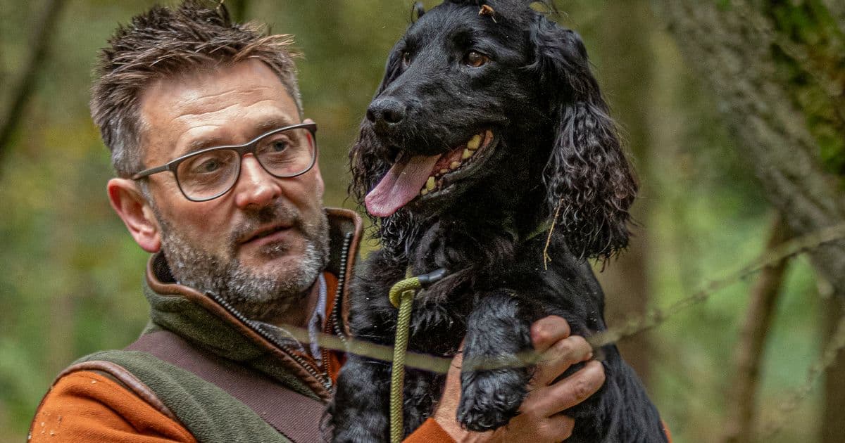 Crufts Trainer Spared Jail After Dogs Bake to Death in Hot Car