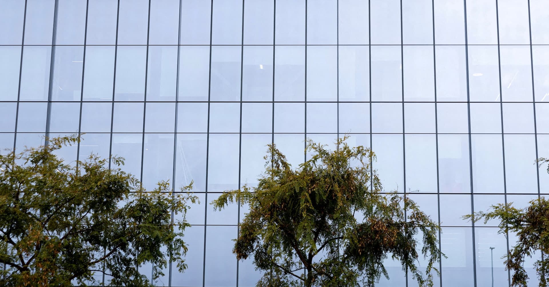 Lilly Inks $1.3B Deal with Superluminal to Tackle Obesity via AI