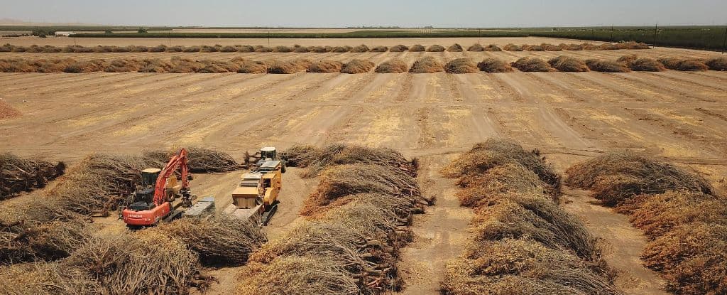 Continents Drying at Unprecedented Rates, Driving Alarming Sea Level Rise