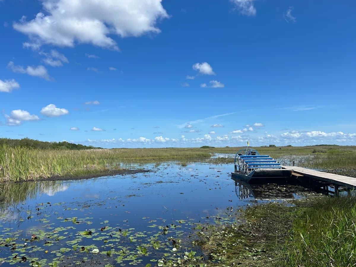 Alligator Alcatraz: Exploring the Forbidden Wilderness of South Florida