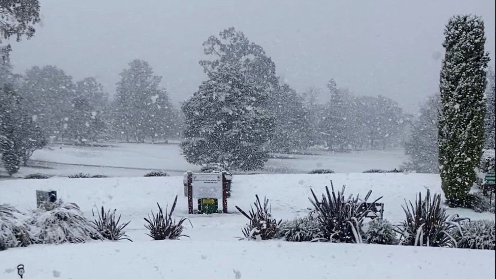 Rare Snowfall Blankets Eastern Australia, Causing Chaos