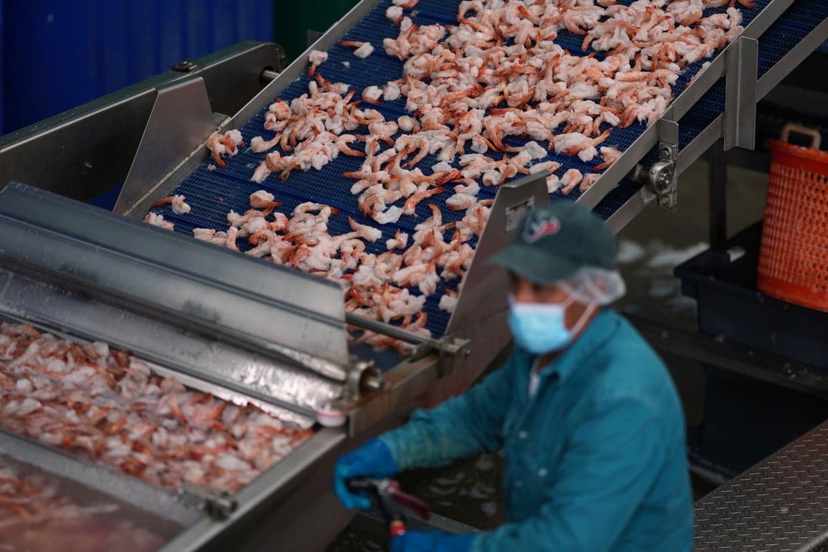 Radioactive Shrimp Recall Prompts Nationwide Alarm