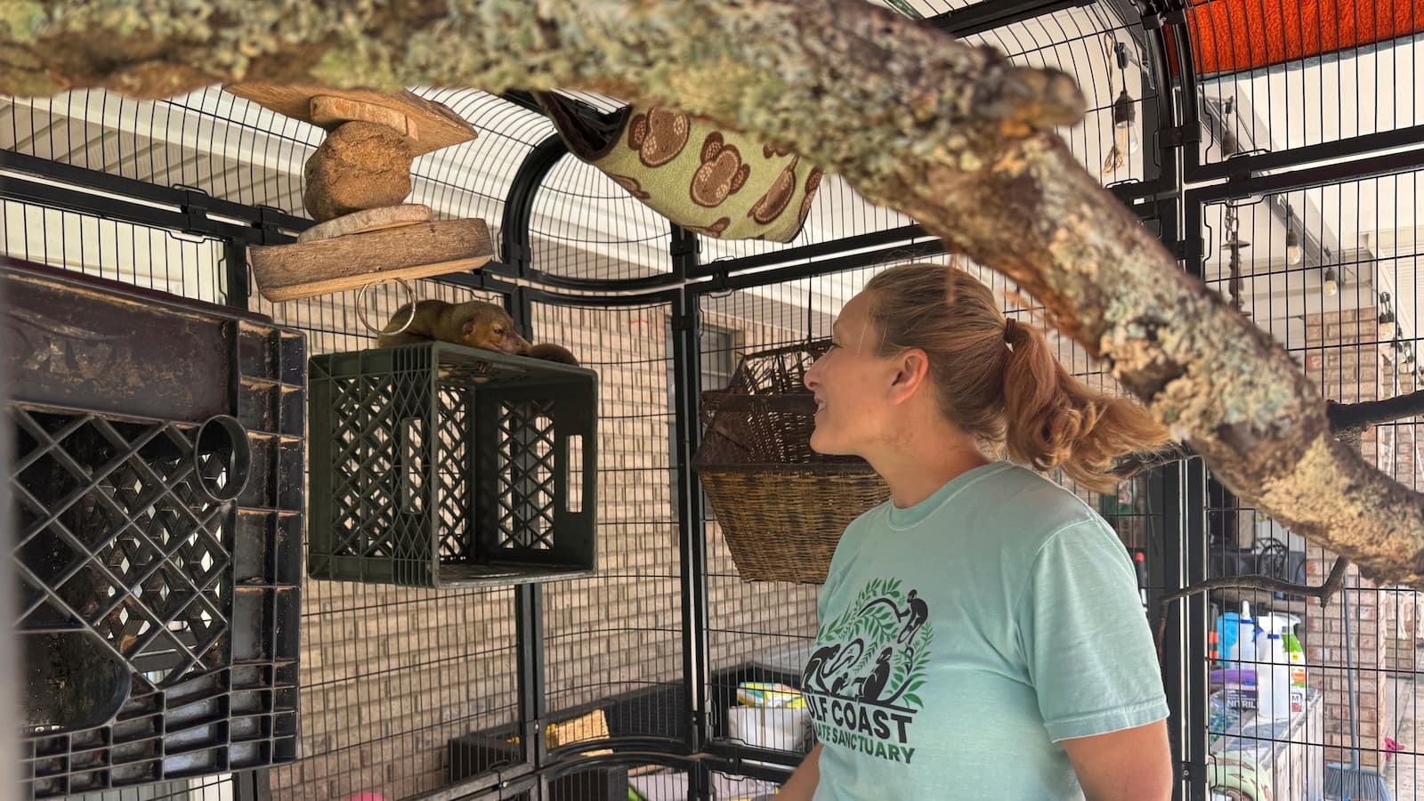 Army Veteran Finds Peace in Embrace of Rescued Spider Monkey