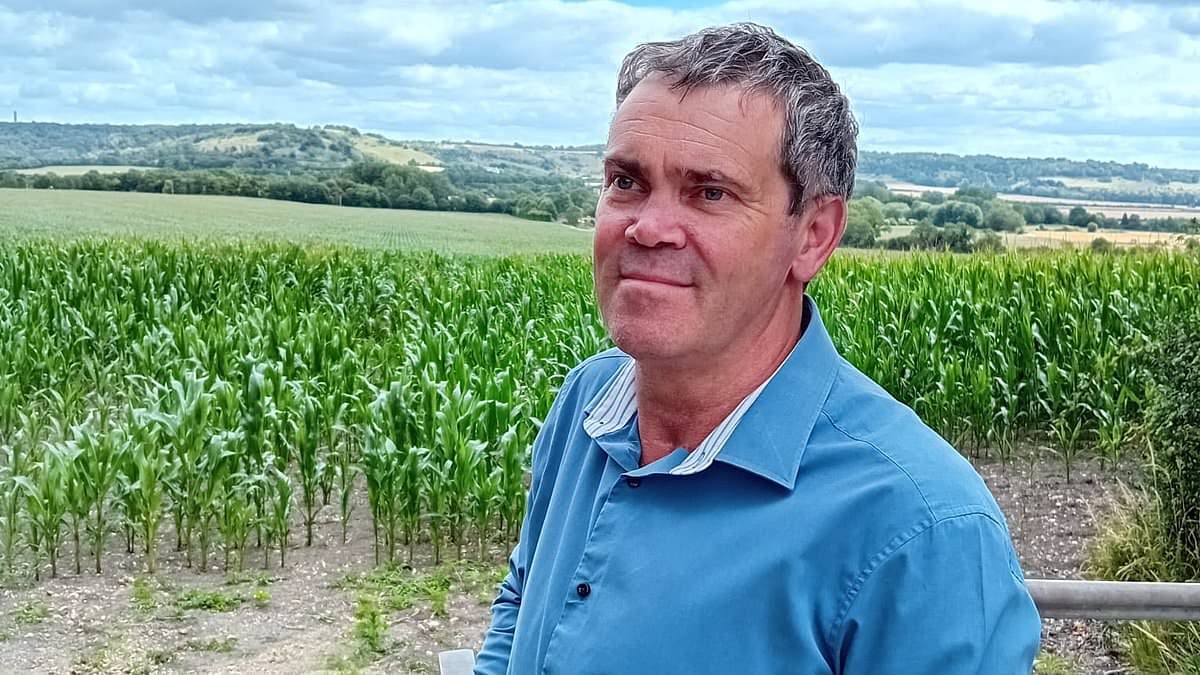 Locals Outraged as Solar Project Aims to Ruin Quintessential English View