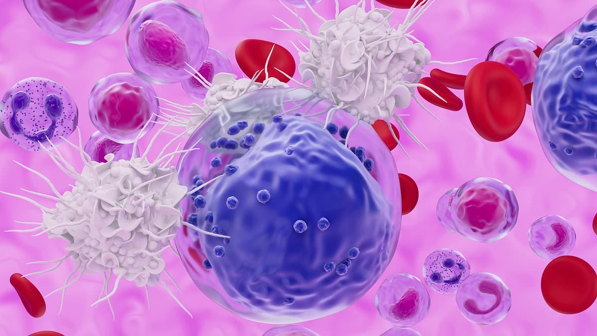 Immune System's Paradox: How 'Youthful' Cells Can Both Extend and Endanger Lifespan