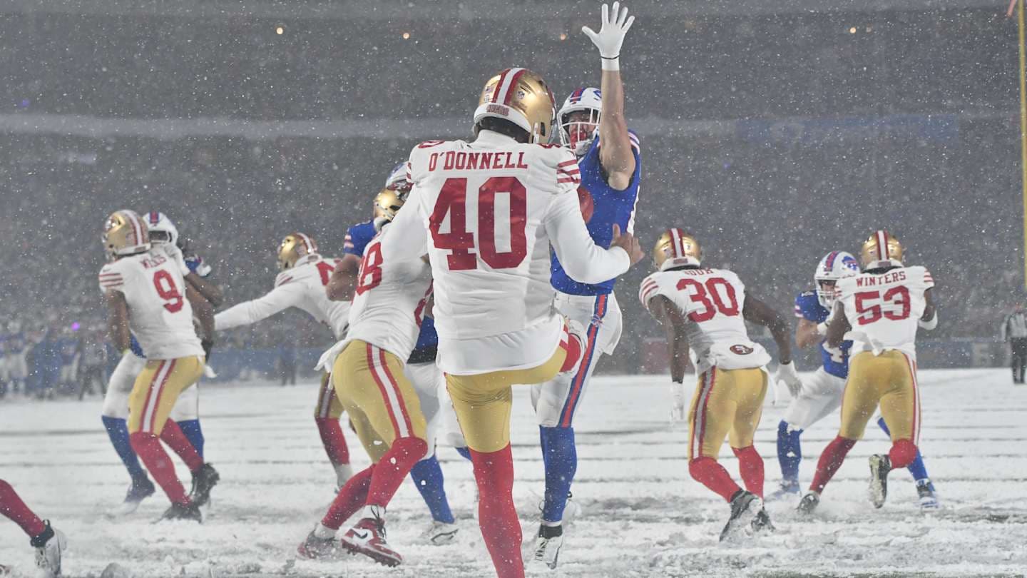 Backup Tight End Shines as Emergency Punter for Bills