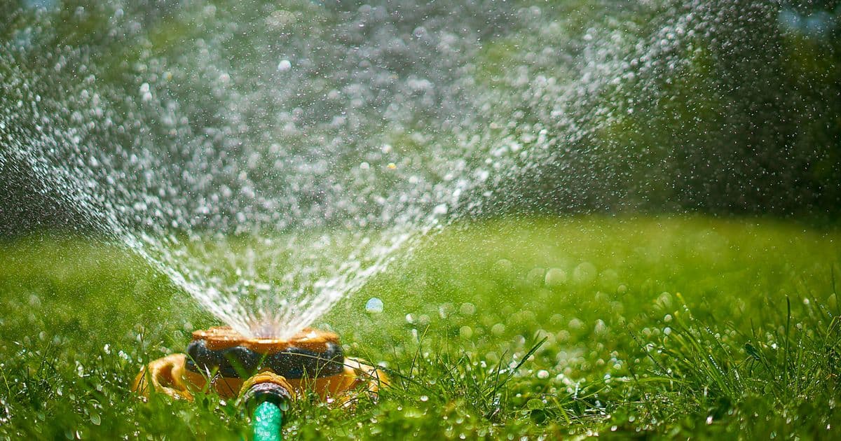 Brits Seek Loopholes to Beat Escalating Hosepipe Bans Across England