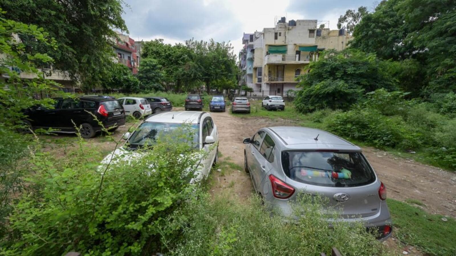 Concrete Jungle Swallows Delhi's Dwindling Green Spaces