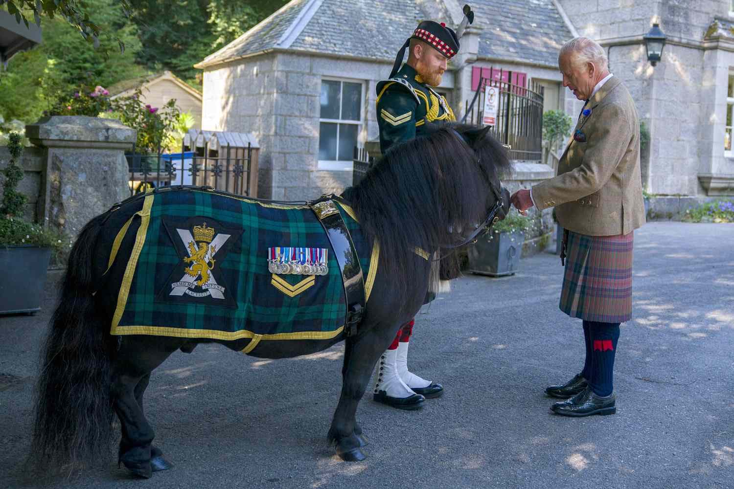 Shetland Pony's Antics Amuse King Charles at Royal Residence