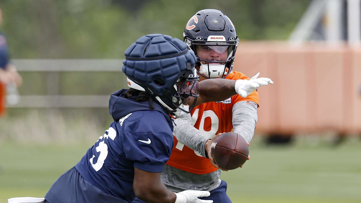 Bears Aim High: Competing for NFC North Title in 2025