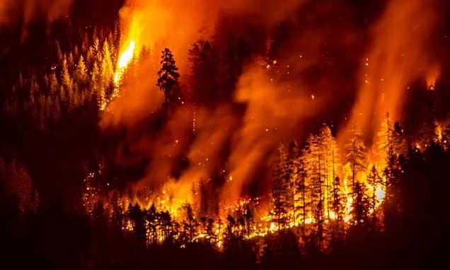 Smoke from Record-Breaking 2023 Canadian Wildfires Linked to 70,000 Deaths Globally