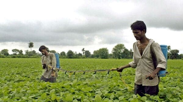 Crop Insurance Payouts Surge Across India's Agrarian Heartland