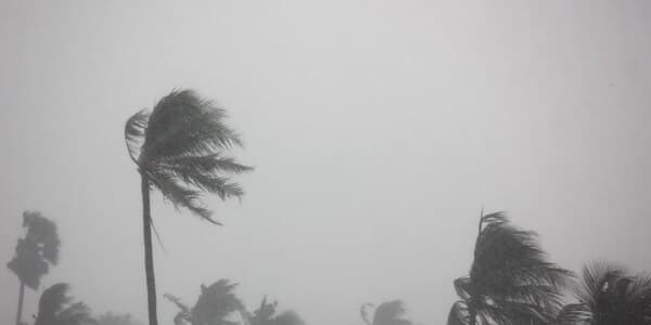 Hong Kong Braces for Powerful Typhoon Wipha, Highest Alert Issued