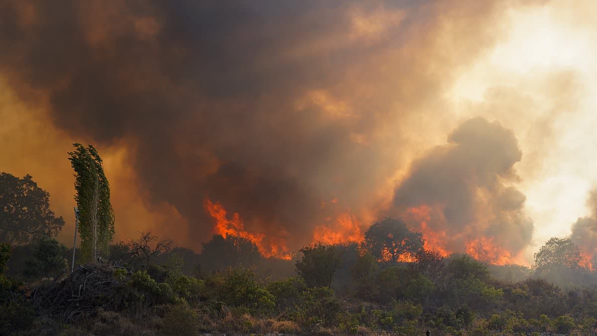 Climate Change Blamed for Europe's Worst Wildfire Season on Record
