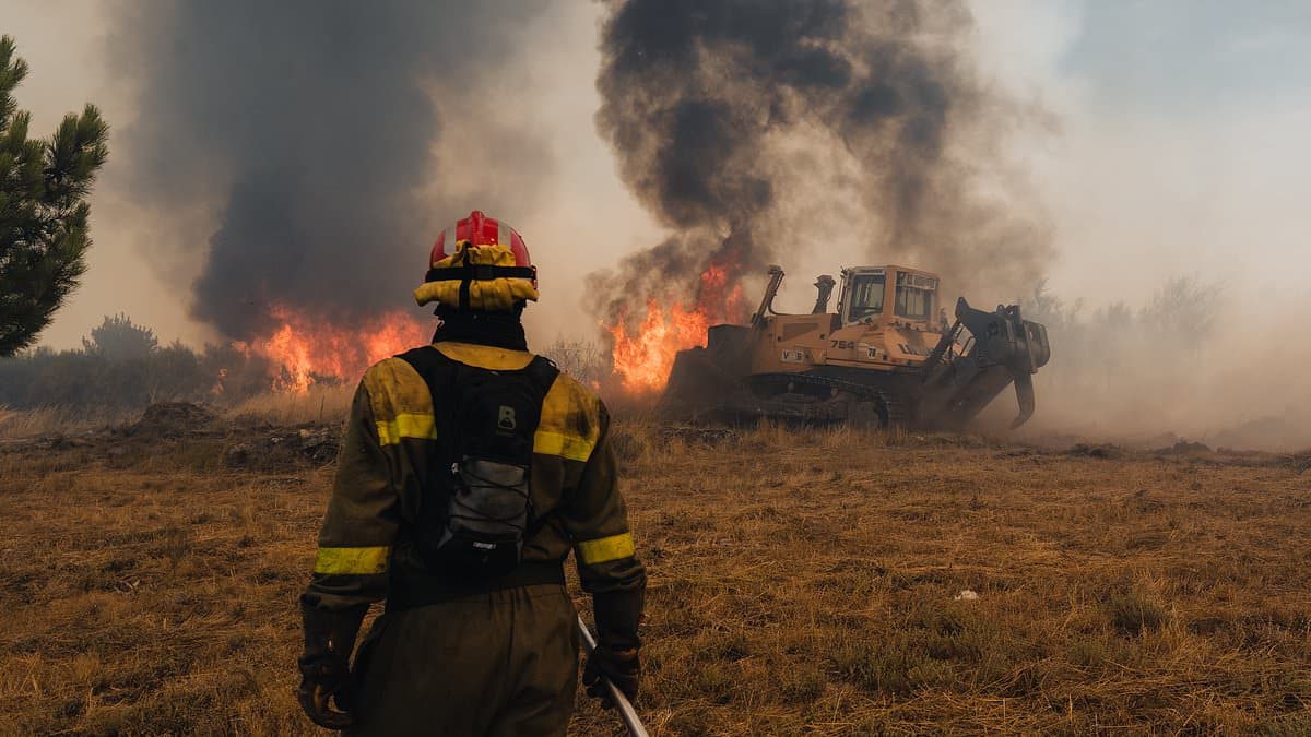 Bulldozer Operator Killed in Wildfires Ravaging Portugal