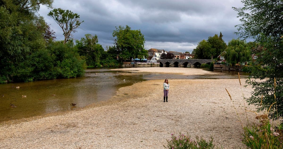Drought Devastates England: Crops Wither, Wildlife Suffers