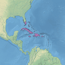 Caribbean islands