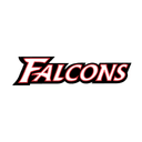 Atlanta Falcons